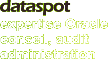 DataSpot - expertise Oracle et Sql Server, conseil, audit et administration
